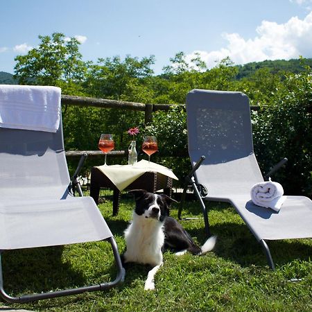 Agriturismo Monte Del Re 산 피에트로 알나티소네 외부 사진