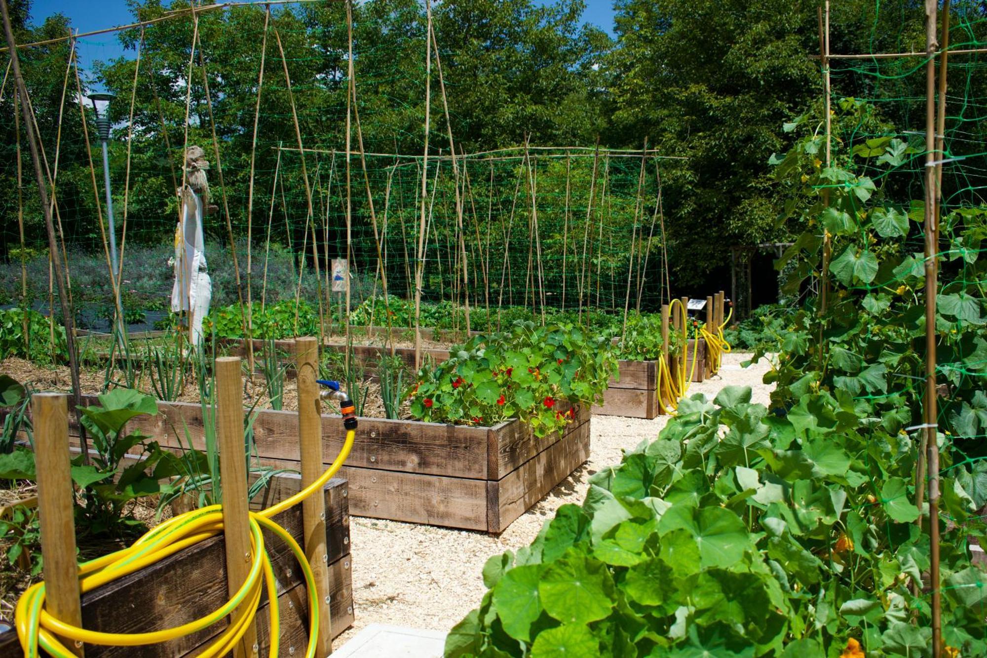 Agriturismo Monte Del Re 산 피에트로 알나티소네 외부 사진